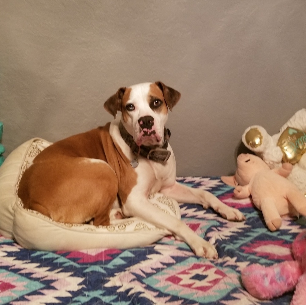 Meet your Posher, Tiffany